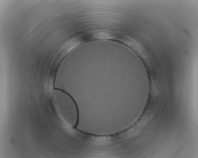 X0000114030889200910091432