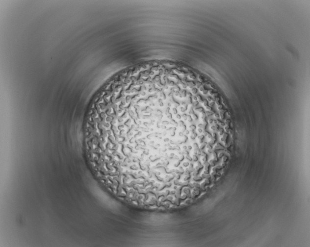 X0000114030890200910091432
