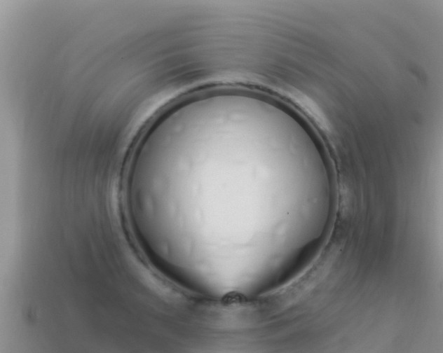 X0000114030895200910091432