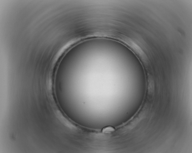 X0000114030896200910091432
