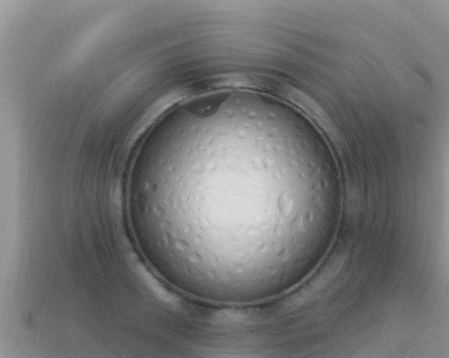 X0000114030898200910091432