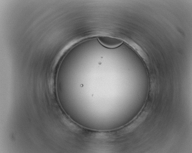 X0000114030904200910091432