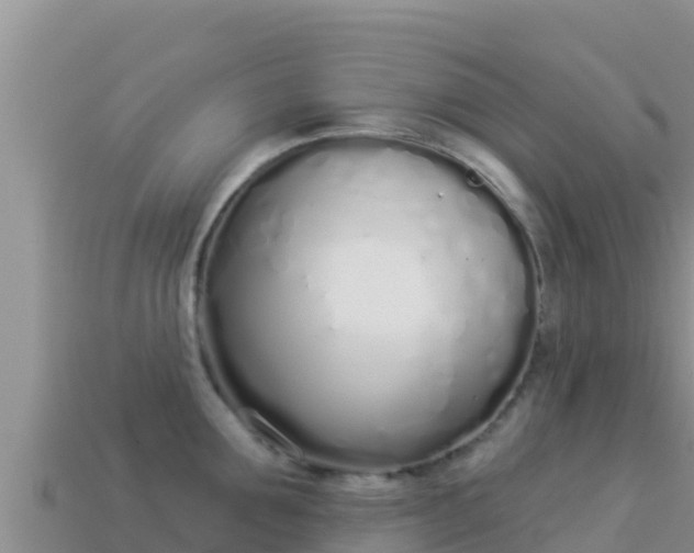 X0000114030907200910091432