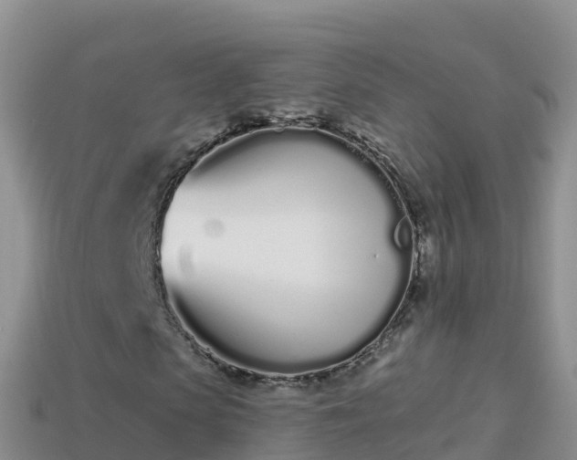 X0000114030913200910091431