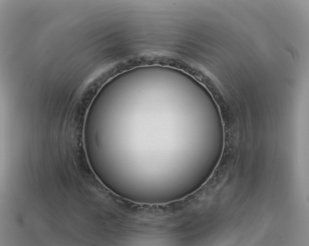 X0000114030919200910091431