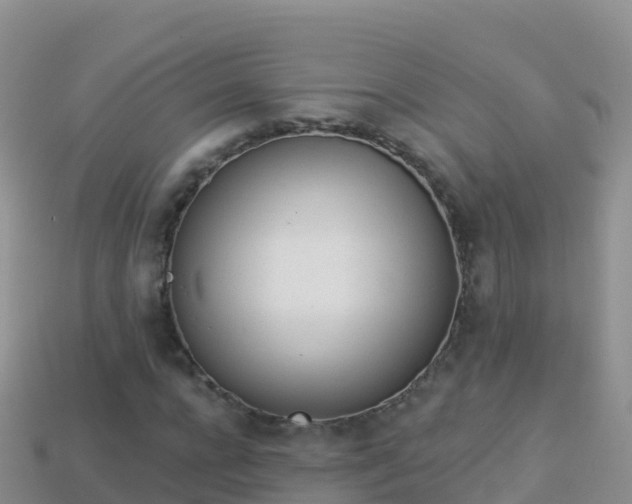 X0000114030920200910091431