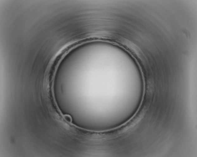 X0000114030923200910091431