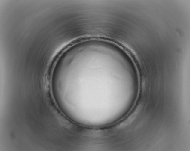 X0000114030925200910091431