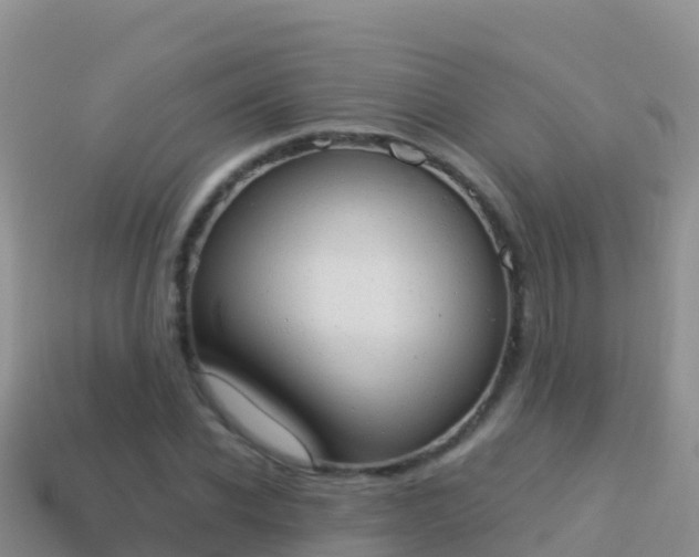 X0000114030926200910091431