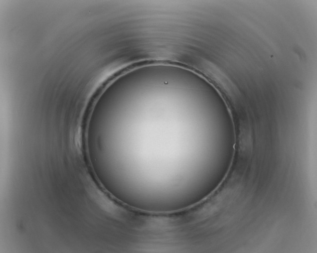 X0000114030932200910091431