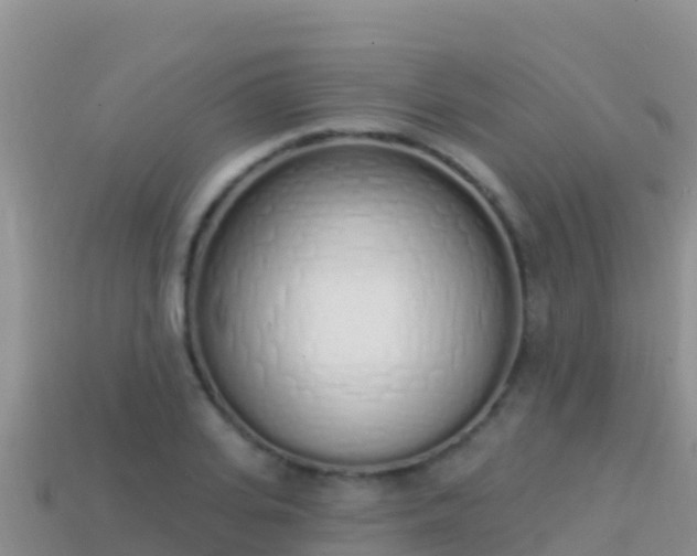 X0000114030935200910091431