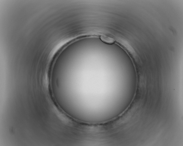 X0000114030936200910091431