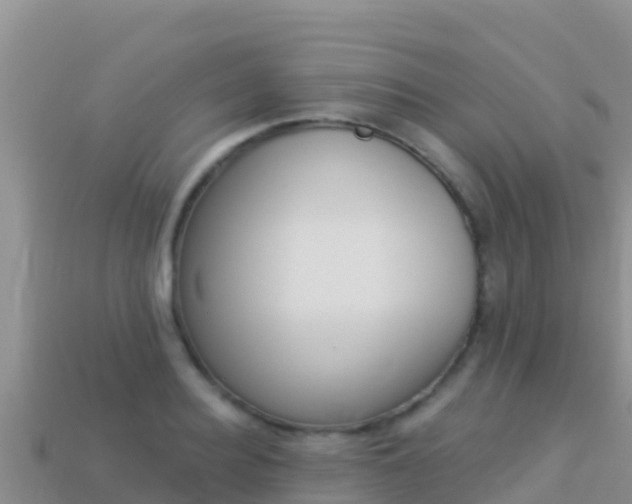 X0000114030940200910091431
