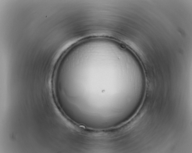 X0000114030943200910091431