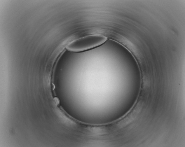 X0000114030946200910091431