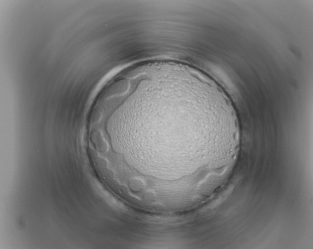 X0000114030948200910091431