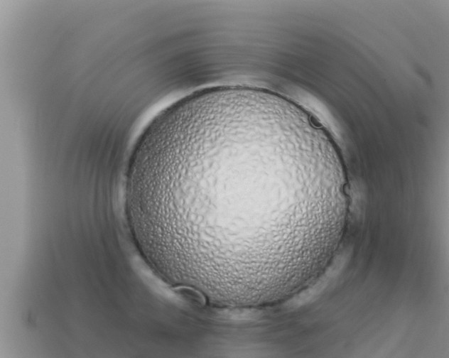 X0000114030952200910091431