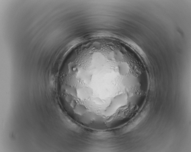 X0000114030953200910091431