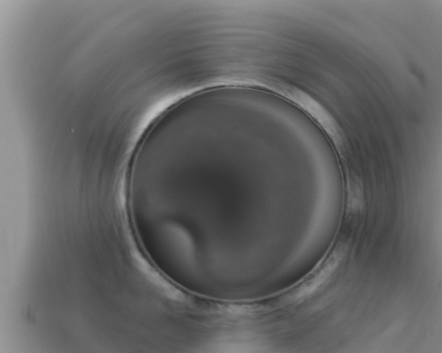 X0000114030958200910091431