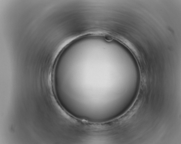 X0000114030959200910091431