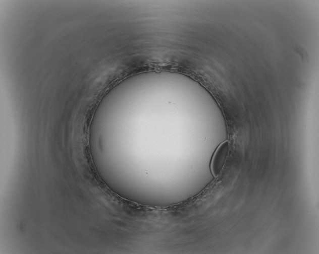 X0000114030961200910091431