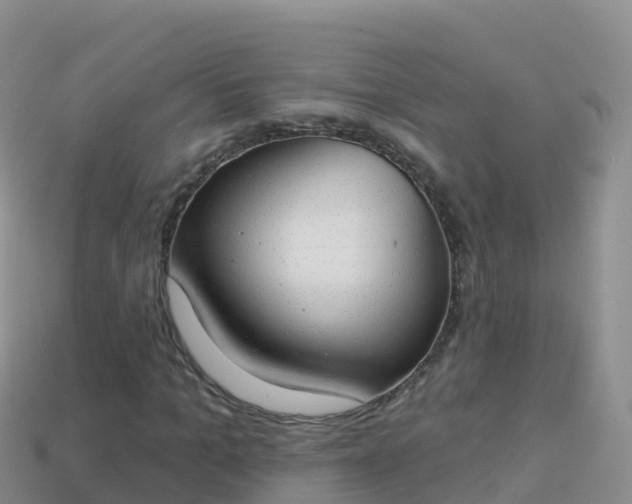 X0000114030965200910091431