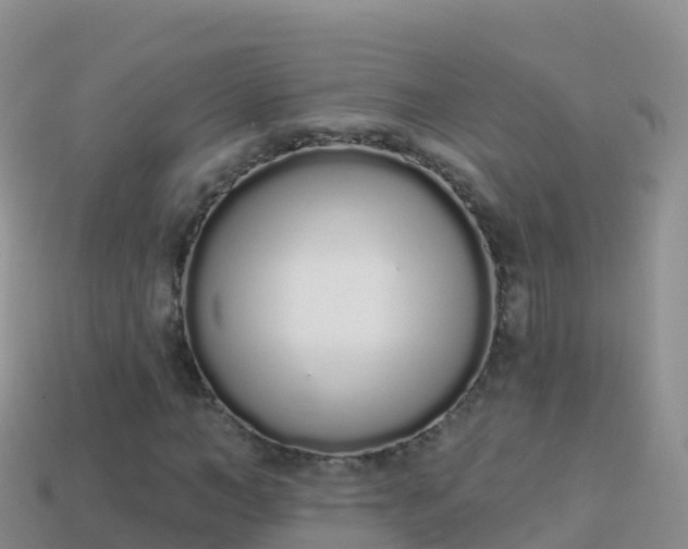 X0000114030966200910091431