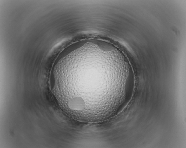 X0000114030967200910091431