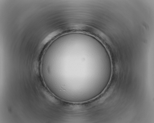 X0000114030970200910091431