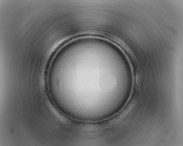 X0000114030972200910091431