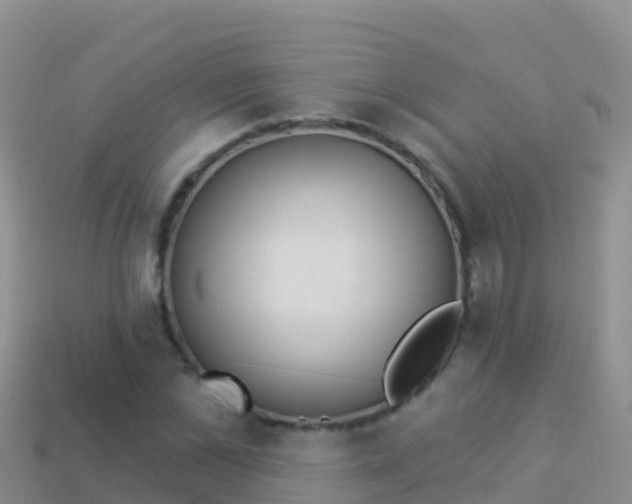 X0000114030973200910091431