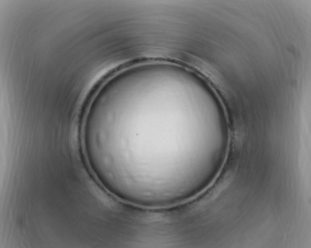 X0000114030976200910091431