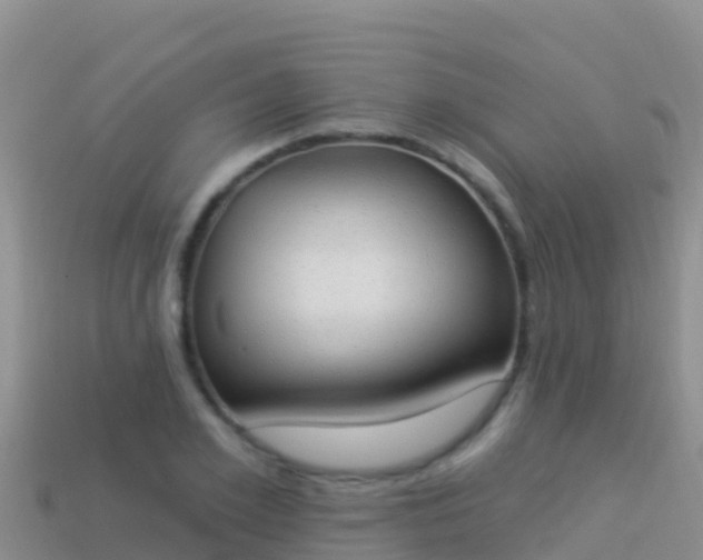 X0000114030981200910091431