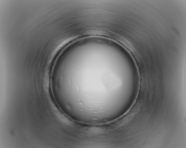 X0000114030984200910091430