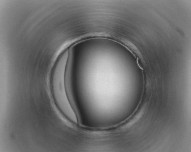 X0000114030989200910091430