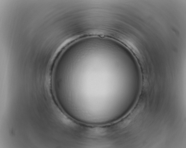 X0000114030992200910091430