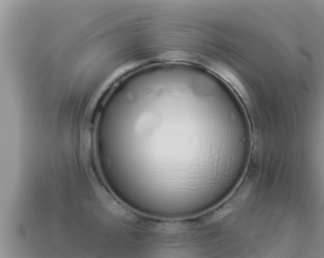 X0000114031000200910091430
