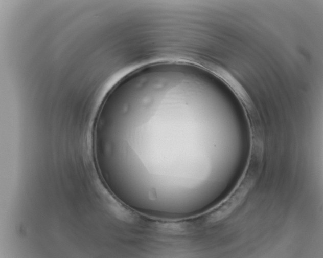 X0000114031004200910091430