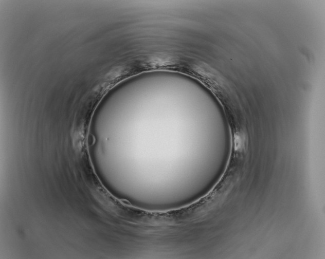 X0000114031011200910091430