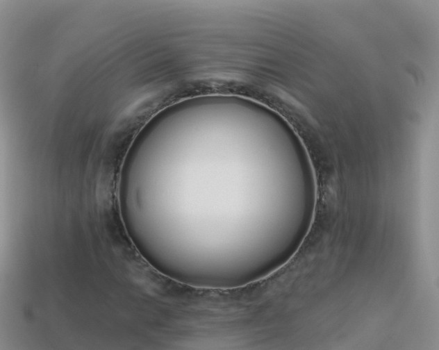 X0000114031014200910091430