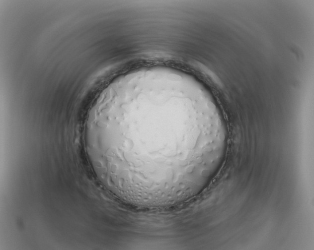 X0000114031016200910091430