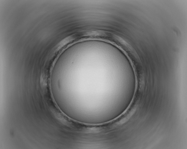 X0000114031017200910091430