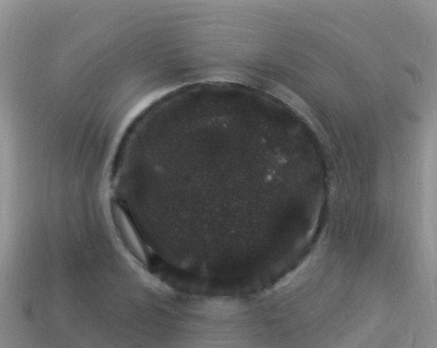 X0000114031024200910091430