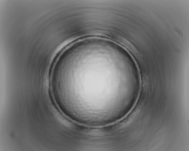X0000114031028200910091430