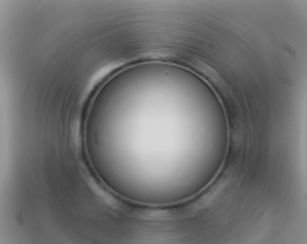 X0000114031030200910091430