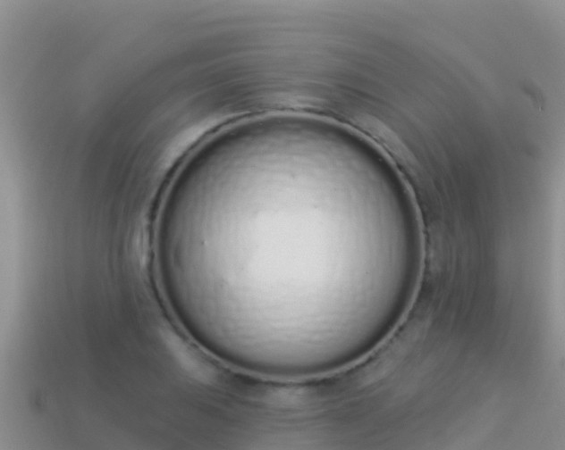 X0000114031031200910091430