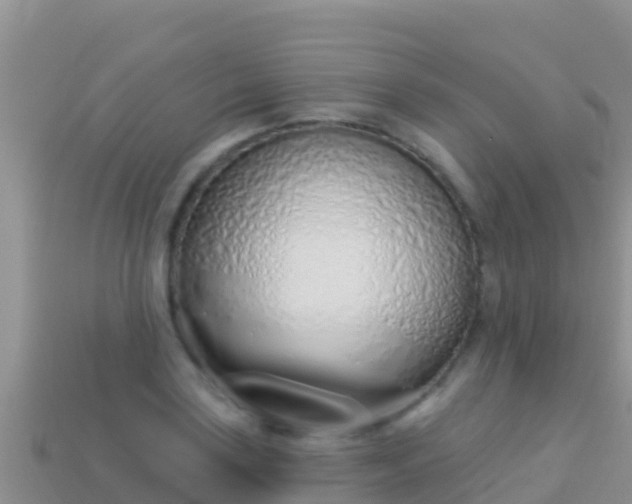 X0000114031035200910091430