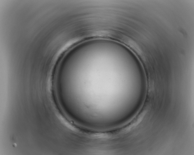 X0000114031037200910091430