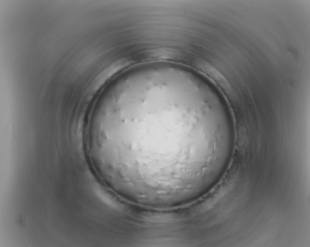 X0000114031039200910091430