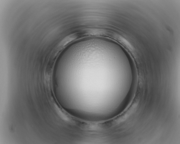 X0000114031041200910091430